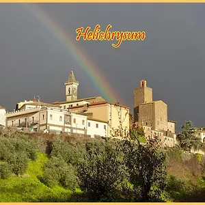 Helichrysum Bed & Breakfast Vinci